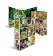 Motivordner Nagetiere Nagetiere 19252, A4 70mm breit