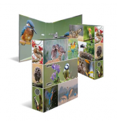 Motivordner Heimatvögel Heimatvögel 19254, A4 70mm breit