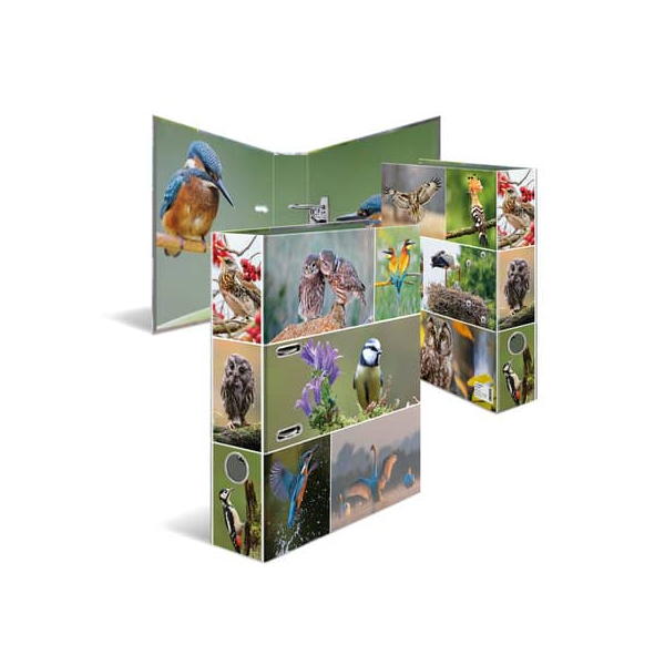 4008705192545 - Motivordner Motiv-Ordner Heimatvögel Tierwelten Heimatvögel 19254 A4 70mm breit 4008705192545 Herma