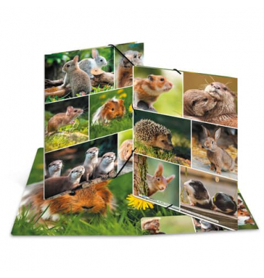 Gummizugmappe 19343, A4 Motiv Nagetiere Karton, mit 3 Einschlagklappen