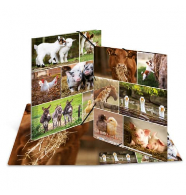 Gummizugmappe 19344, A4 Motiv Bauernhoftiere Karton, mit 3 Einschlagklappen