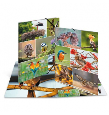 Gummizugmappe 19345, A4 Motiv Heimatv&ouml;gel Karton, mit 3 Einschlagklappen