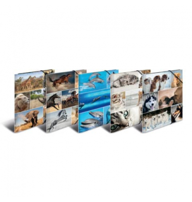 Gummizugmappe Sortiment Sammelmappen 19346, A4 Motiv Animals Karton kaschiert, mit 3 Einschlagklappen