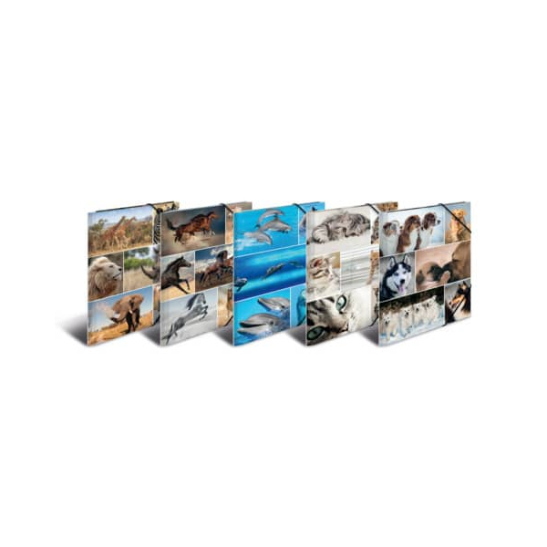 10 Stück Herma Gummizugmappe 19346, A4 Motiv Animals Karton kaschiert, mit 3 Einschlagklappen 4008705193467 Herma