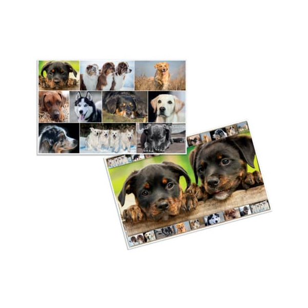 4008705193788 - Schreibunterlage Schreibunterlage 19378 hunde Hunde 4008705193788 Herma