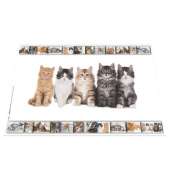 Schreibunterlage 19379 mehrfarbig Katzen 55x35cm