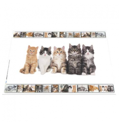 Schreibunterlage 19379 mehrfarbig Katzen 55x35cm