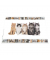 Schreibunterlage 19379 bunt Katzen 55x35cm