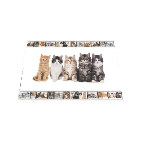 4008705193795 - Schreibunterlage Schreibunterlage 19379 Katzen Katzen 4008705193795 Herma