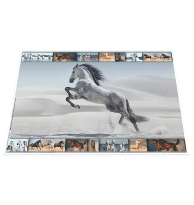 HERMA 19380 55x35cm
