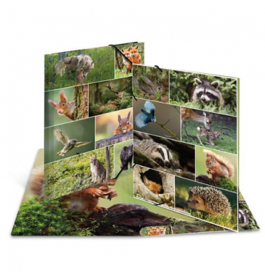 Gummizugmappe 19451, A3 Motiv Waldtiere Karton, mit 3 Einschlagklappen