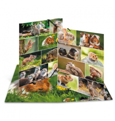 Gummizugmappe 19453, A3 Motiv Nagetiere Karton, mit 3 Einschlagklappen