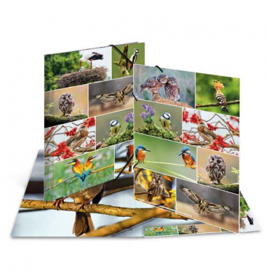 Gummizugmappe 19455, A3 Motiv Heimatvögel Karton, mit 3 Einschlagklappen