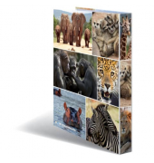 Ringbuch Tiere Afrika Afrika Tiere 19476, A4 2 Ringe 25mm Ring-Ø Karton motiv