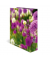 Motivordner Flowers Purple Sensation 19558, A4 70mm breit