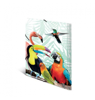 Gummizugmappe Exotic Animals 19968, A3 farbig sortiert Polypropylen (PP), f&uuml;r ca. 50 Blatt  (80 g/m&sup2;), mit 3 Einschlagklappen