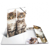 Heftbox 7138, A4 Katzen, Polypropylen (PP)