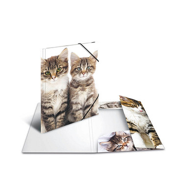 Heftbox 7138, A4 Katzen, Polypropylen (PP)