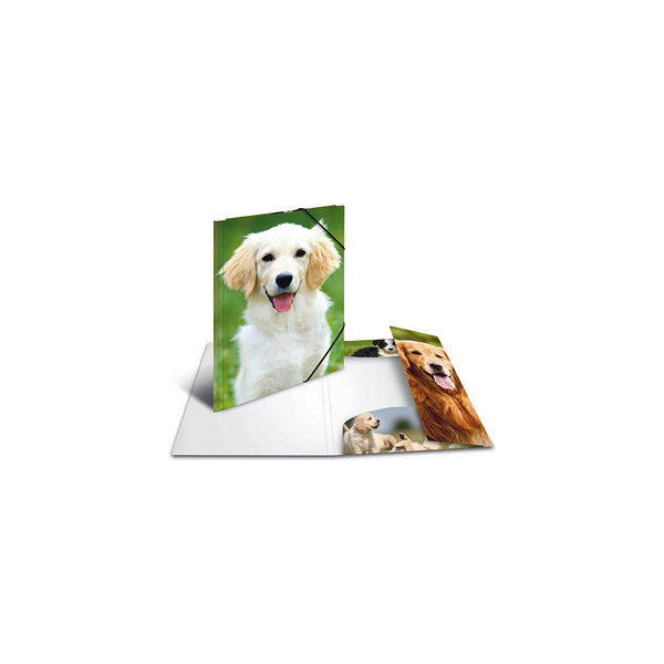 4008705898591 - Sammelmappen DIN A4 Hunde 4008705898591 3 Stück 4008705898591 - Sammelmappen DIN A4 Hunde 4008705898591 3 Stück