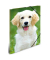 Heftbox 7139, A4 hunde, Polypropylen (PP)