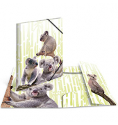 Heftbox 19958, A4 Koalas, Polypropylen (PP)