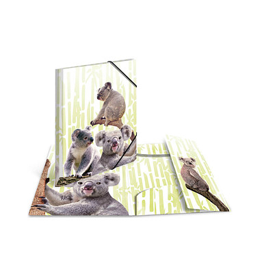 Heftbox 19958, A4 Koalas, Polypropylen (PP)