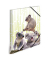 Heftbox 19958, A4 Koalas, Polypropylen (PP)