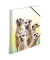 Heftbox 19961, A4 erdmännchen, Polypropylen (PP)
