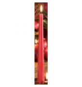 Kerzen 203039.001 ohne rot 250x25mm (Hx&Oslash;) ca. 8 Stunden Brenndauer