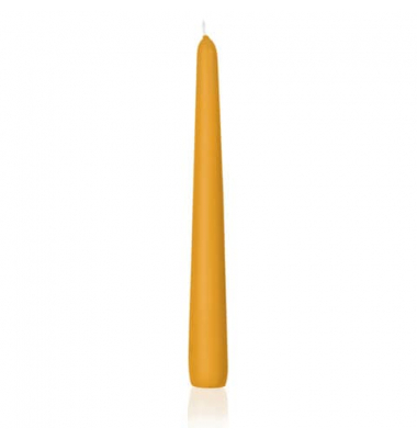 Kerzen 203039.015 ohne gelb 250x25mm (Hx&Oslash;) ca. 8 Stunden Brenndauer