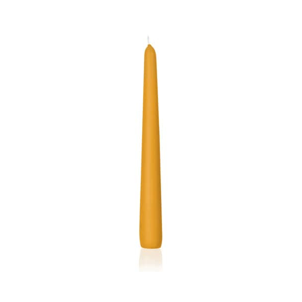 12 Stück Wiedemann Kerzen 203039.015 gelb 250x25mm (HxØ) ca. 8 Stunden Brenndauer 4009406810127 Wiedemann