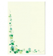 Design Papier A4 50ST 100g Efeu