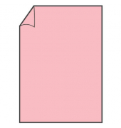 Blanko-Grußkarten 1103012063 210mm x 297mm (BxH) 220g rose