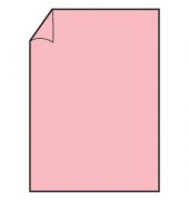 Motivpapier Paperado 1103026063, rose, A4, 160g