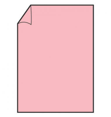 Motivpapier Paperado 1103026063, rose, A4, 160g Motivpapier Paperado 1103026063, rose, A4, 160g