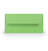Designbriefumschlag Paperado 16400264, Din Lang, nassklebend, 100g, apple