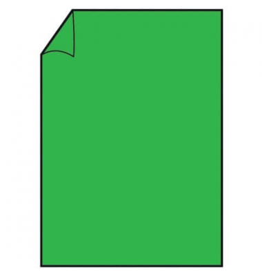 Briefpapier 1103026064, apple, 160g