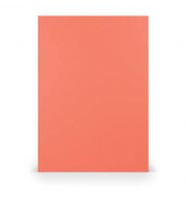Brief Paperado coral