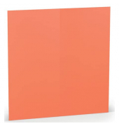 Blanko-Grußkarten 16406968 DIN lang 100mm x 210mm (BxH) 220g coral