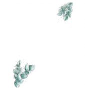 Design Papier Eucalyptus