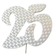 Jubiläumszahl 25 silber