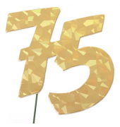 Jubiläumszahl 75 gold