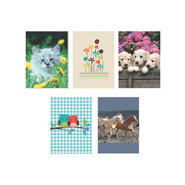 10 Stück DFW Briefpapiermappe 1010 sortiert 4016182184113 DFW