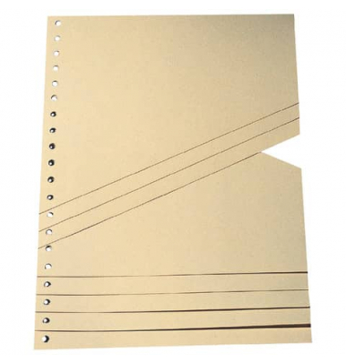 Staffel-Trennblätter Staffeltrennblatt 9591100100 A4 chamois 200g Karton
