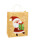 Geschenktasche 88317-SG Weihnachten Serie 3, Weihnachten, Papierkordel, 4 Motive sortiert, Rentier,Weihnachtsmann,Eisbär,Kugeln,