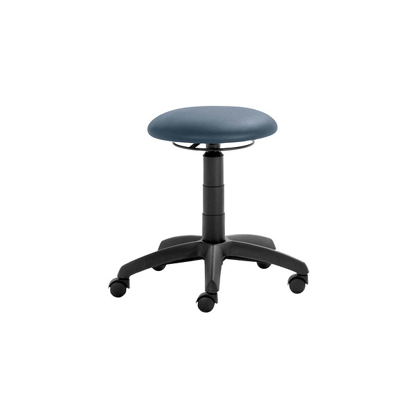 4032376075005 - Hocker 1282 S RI 30 482 myKENNY taubenblau mit Rollen höhenverstellbar bis 100kg 4032376075005 Mayer 4032376075005 - Hocker 1282 S RI 30 482 myKENNY taubenblau mit Rollen höhenverstellbar bis 100kg 4032376075005 Mayer