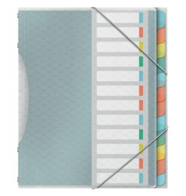 Ordnungsmappe Colour Ice 626256, 12-teilig blanko, farbig/transluzent, A4, 12 F&auml;cher