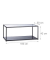 Couchtisch, 42cm (H), 100x50cm (BxT), rechteckig, transparent / schwarz