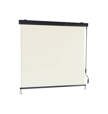 relaxdays Seitenmarkise beige 250,0 x 160,0 cm