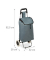 Einkaufstrolley 10027828_111, 28 Liter # Schloss, außen 42x28x92,5cm, Polyester, Kunststoff grau